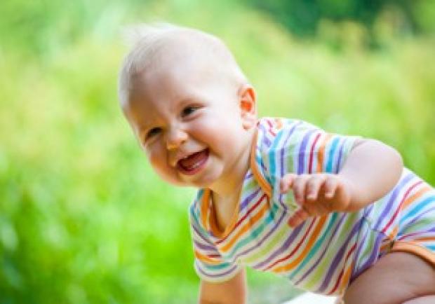 Vorname.com - Giftige Pflanzen im Garten, die für Kinder ...