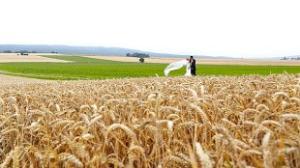 Mottohochzeiten Sommer