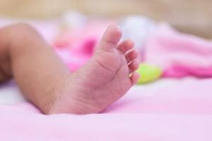 babyfuss-300x200.jpg