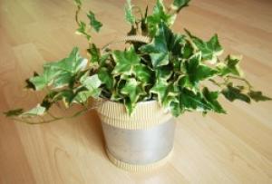 blumentopf_basteln-250x169.jpg