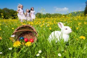 fruehlingslieder-fuer-kinder-300x200.jpg