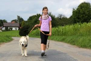 hund-leine-300x200.jpg