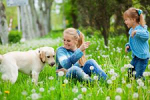hunde-beissen-biss.jpg