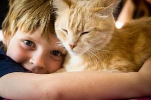 kind-katze-300x198.jpg
