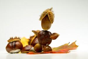 kinder-basteln-herbst-300x200.jpg