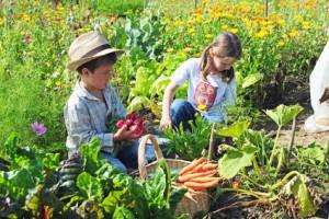 kinder-gartenarbeit-300x200.jpg