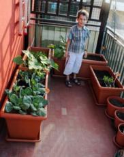 kinder-gartenarbeit-balkon-237x300.jpg