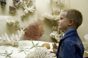 kinder_im_museum-300x200.jpg