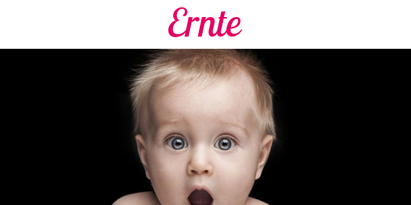Namensbild von Ernte auf vorname.com