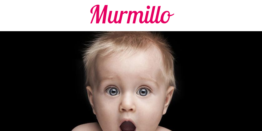 Namensbild von Murmillo auf vorname.com