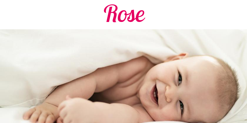 Namensbild von Rose auf vorname.com
