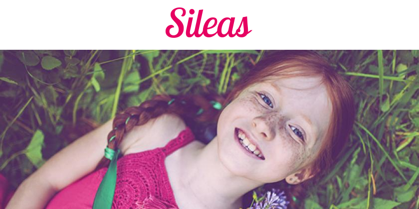 Namensbild von Sileas auf vorname.com