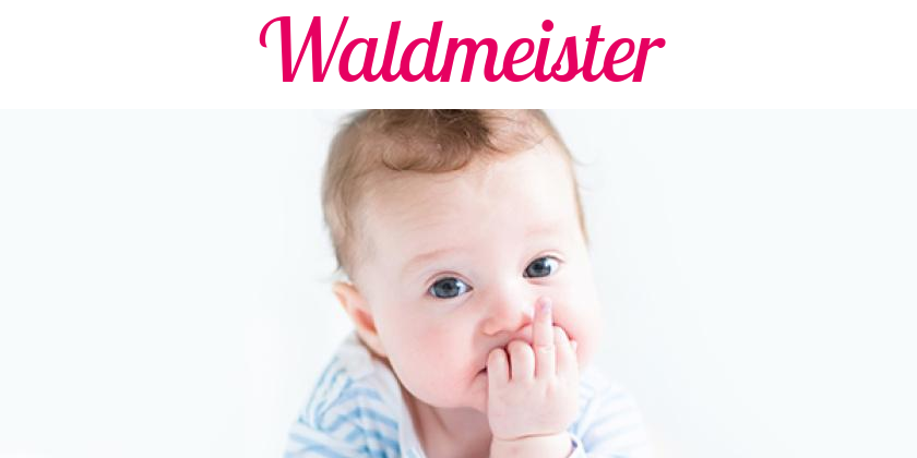 Namensbild von Waldmeister auf vorname.com