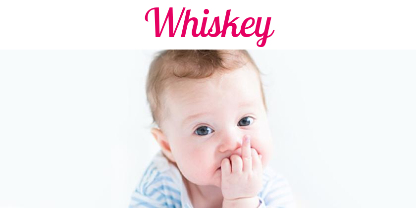 Namensbild von Whiskey auf vorname.com