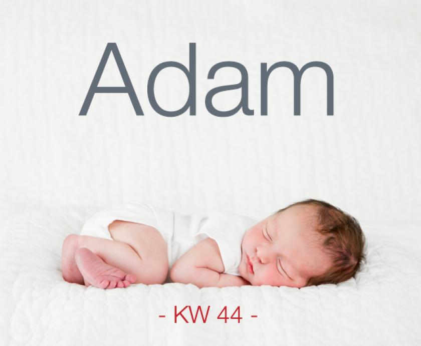 adam_namen_der_woche.jpg