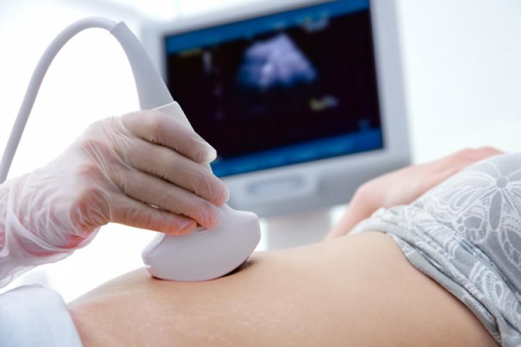 Schwangerschaft Erst Trimester Screening Urbia De