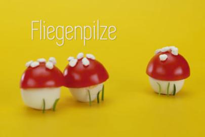 Augenschmaus Fligenpilz
