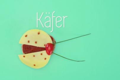 Augenschmaus Käfer