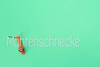 Augenschmaus Möhrenschnecke
