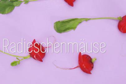 Augenschmaus Radisechenmaus